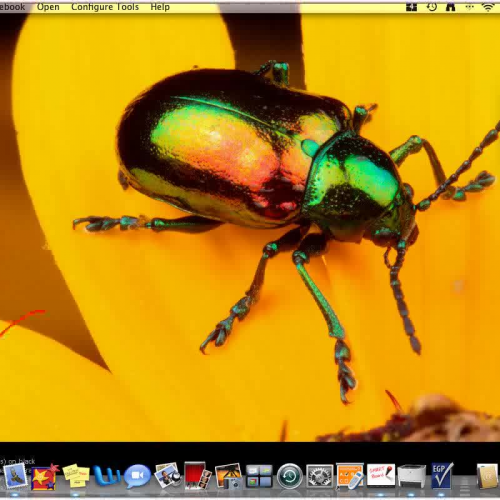 Math instructions March 17 18