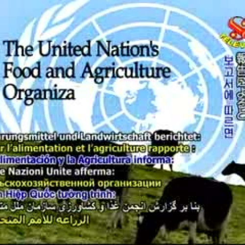 United Nations Report on Livestock and Global
