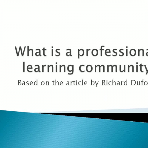 What is a professional learning community?