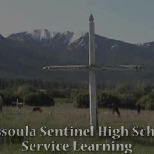 Sentinel Service Learning