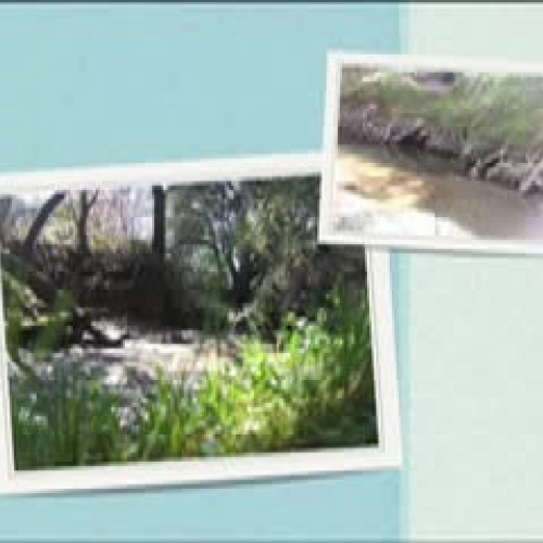 Churchill Picture Book