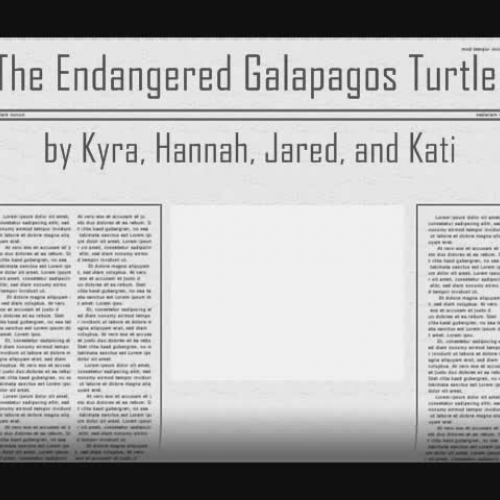 The Endangered Galapagos Tortoise