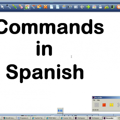 regular Spanish Commands