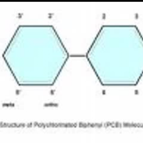 Polychlorinated Biphenyls PSA