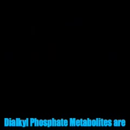 PSA Dialkyl Phosphate Metabolites
