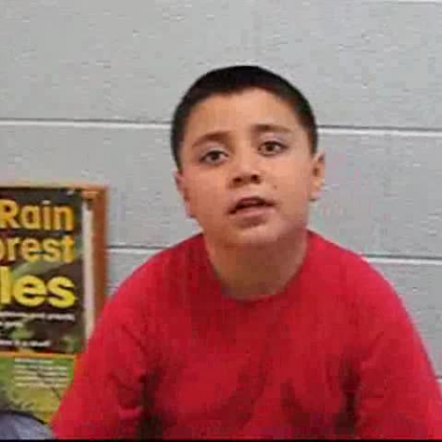 daniel speaking fast