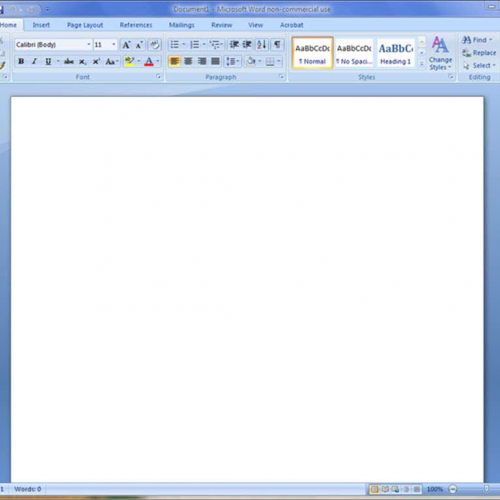 Overview of Microsoft Word 2007