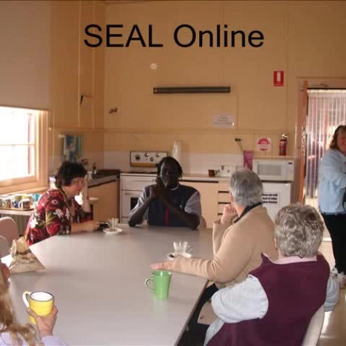 SEAL AccessACE project