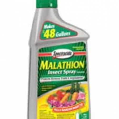 Malathion PSA
