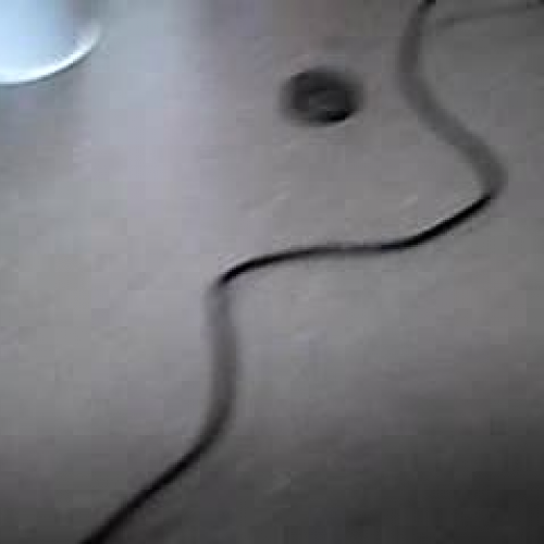 Digital Camera Magnet Speaker