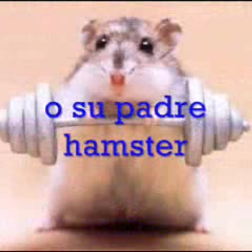 el muchacho hamster