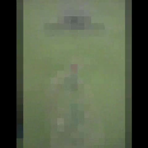 life cycle of a butterfly