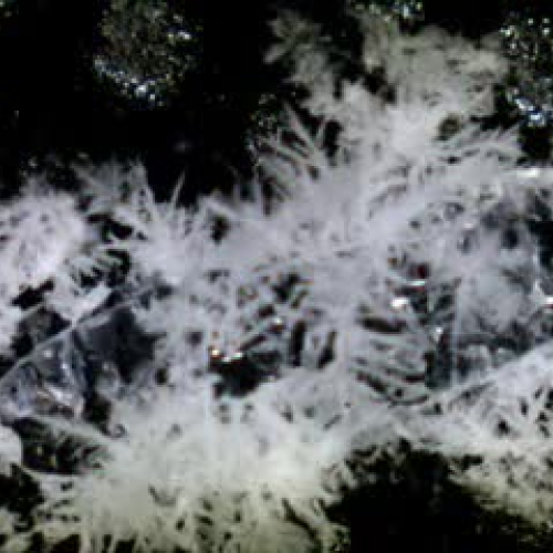 Time Lapse with Dry Ice