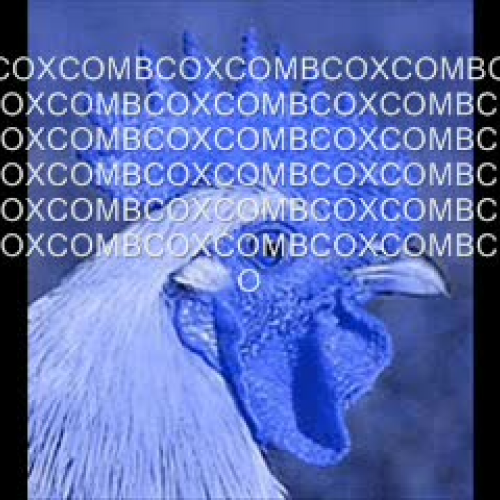 How a coxcomb works