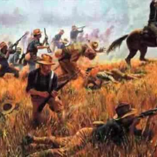 Rough Riders Teddys the One