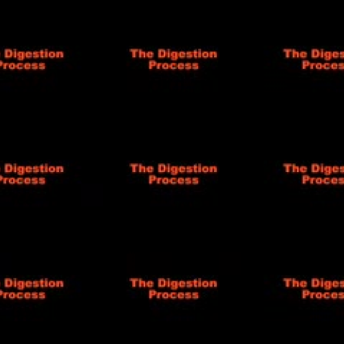Digestion By Louie  Lawerence and Jesse