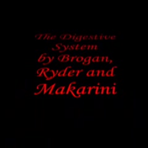 Digestion By Brogan Ryder and Makarini
