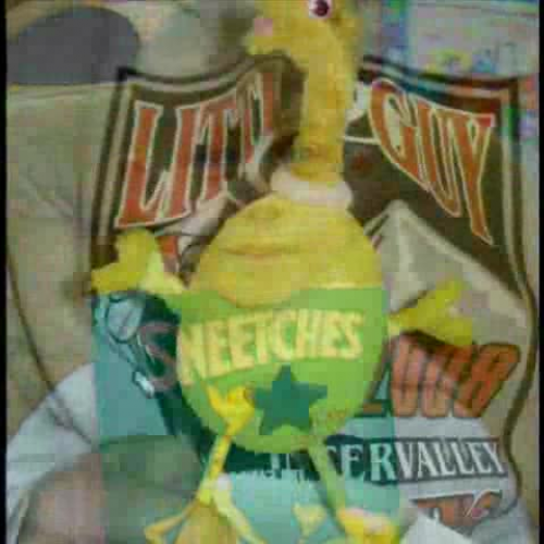 Library Eggstravaganza Hawthorne 2008