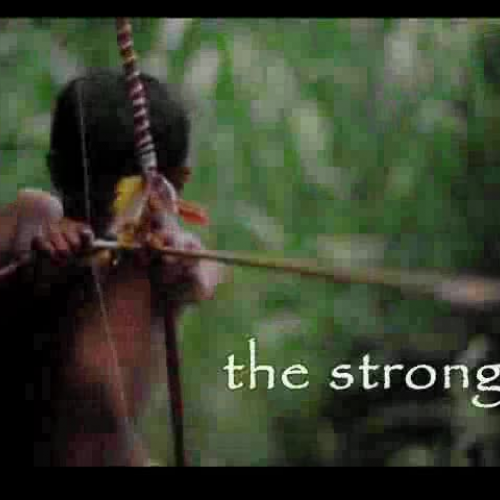 Bringing the Boy Home