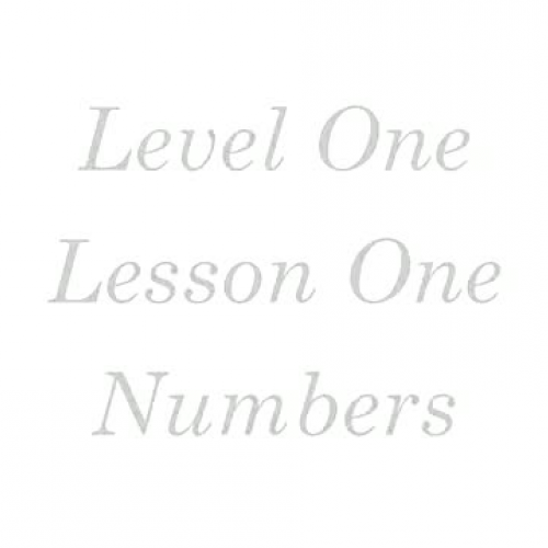 Mandarin Chinese Tutorial 