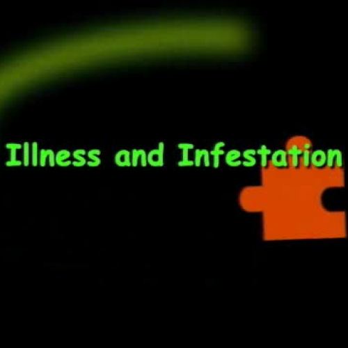 Illness and infestation