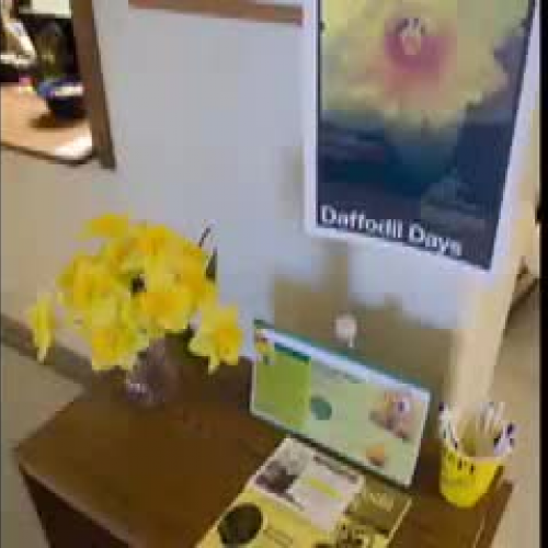 Daffodil Days