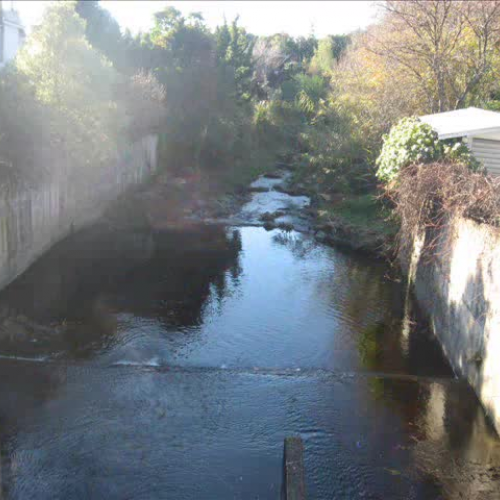 Room 3 goes walkabout