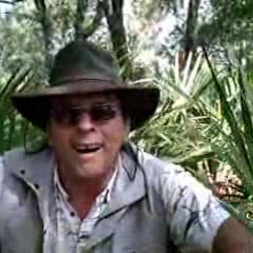 Geometry Activity for embedding in a Google E