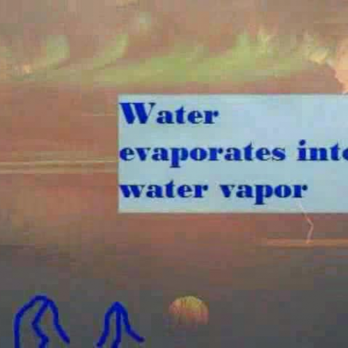 The Water Cycle