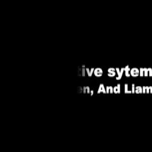 Digestion_Movie_by_Rabi_Baden_Liam