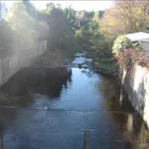 Room 3 goes walkabout!