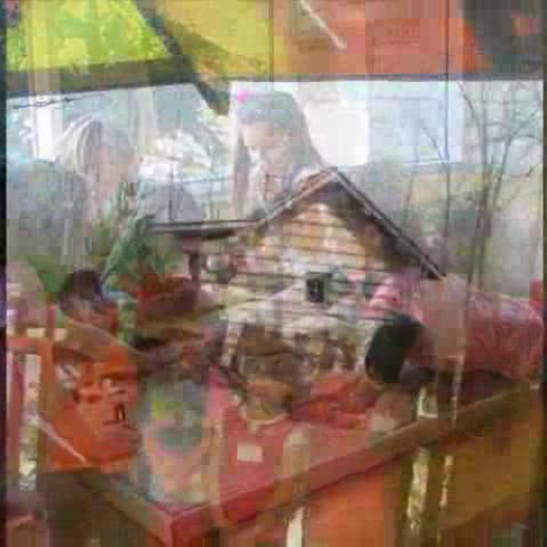 Butterflies Are Blooming