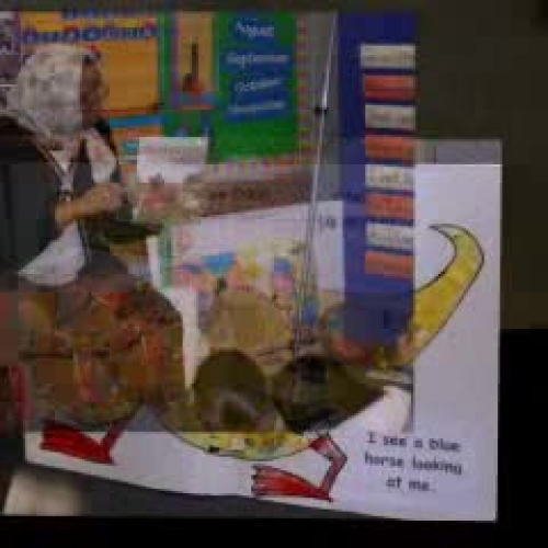 Animoto Video of the Monarch Academy Library 