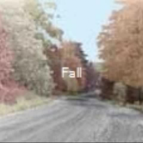 Video Poetry Project