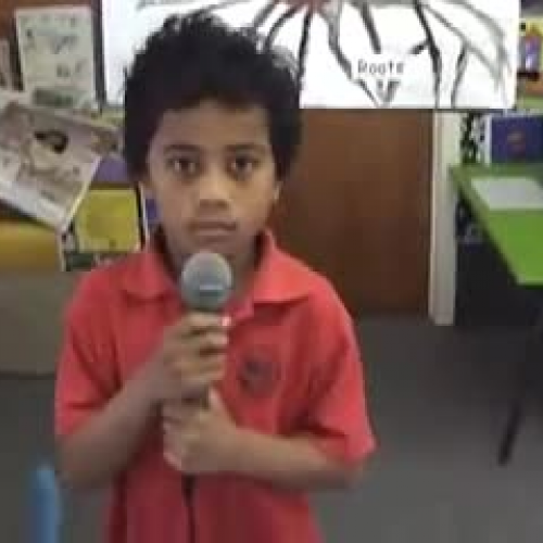 How do your gardens grow ?