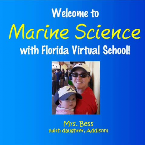 FLVS Marine Science with Mrs Bess