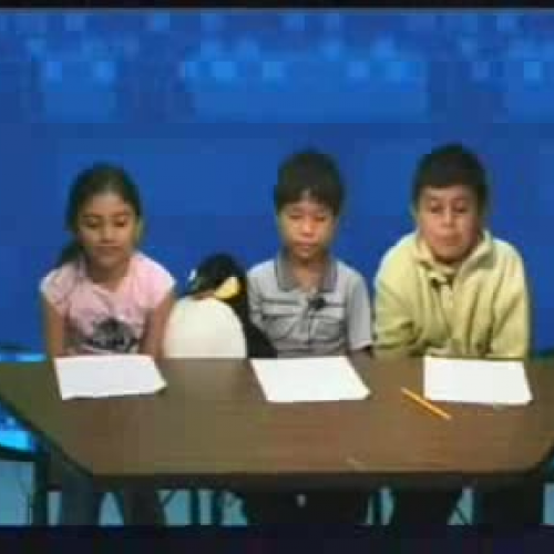4th Grade Penguin Experts