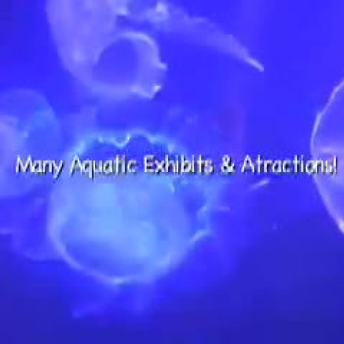 iMovie Aquarium Video3