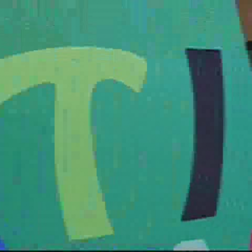 Multi-Cultural Fair 2008