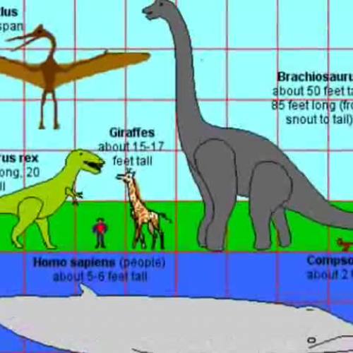 Cade D and Gabriel whale report