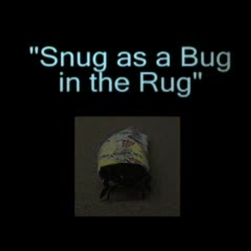 Idioms in ASL  Snug as a Bug in a Rug