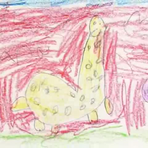 Animal Nouns - Ms. Connors 2007-2008