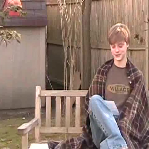 AP English Language Exam - Analysis Essay