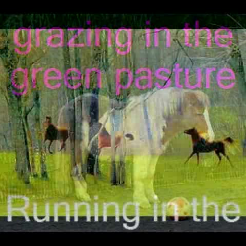 Ponies are Pretty by Nicole and Connor