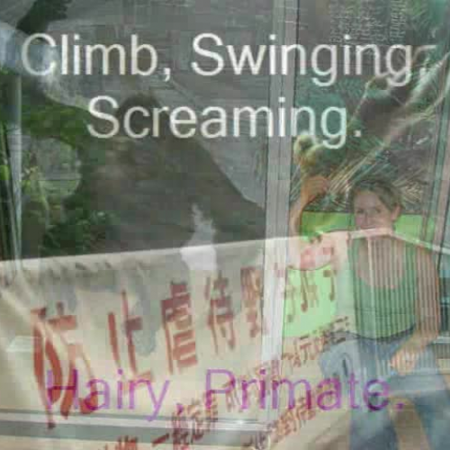 Monkeys by Chad and Alexis