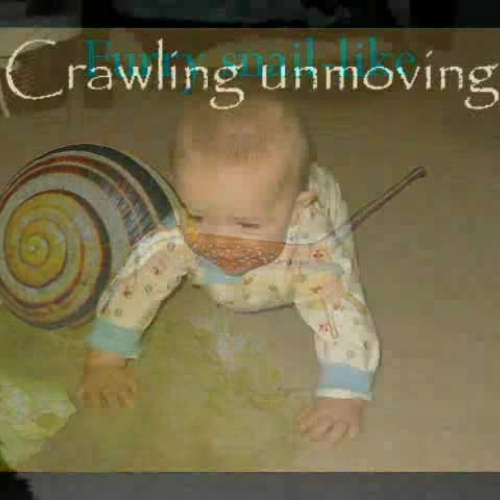 Sloth by Emma and Evan