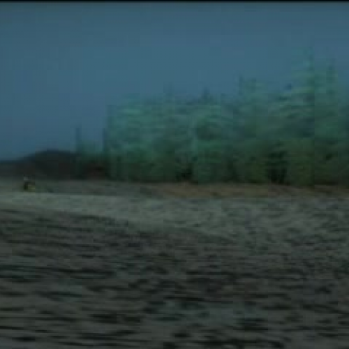 The Hunter and the Werewolf