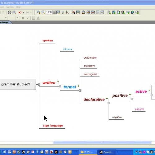 How is grammar studied?