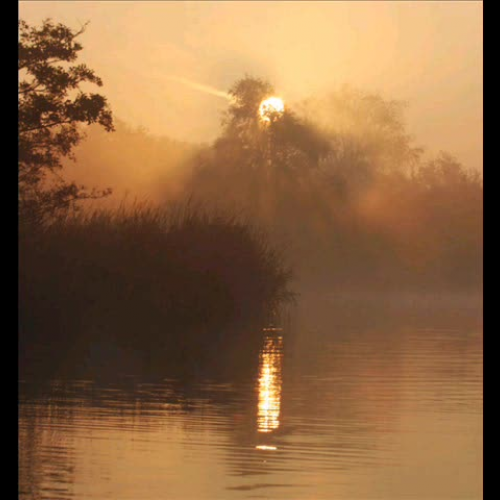 Holocaust - Group W6