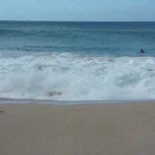 Teaching Philosophy of a new teacher